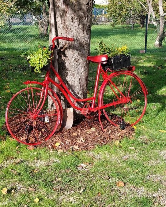 Gite Au Pommier Fleuri Et Son "Appart" Independant Drusenheim المظهر الخارجي الصورة