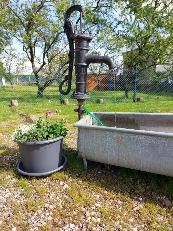 Gite Au Pommier Fleuri Et Son "Appart" Independant Drusenheim المظهر الخارجي الصورة