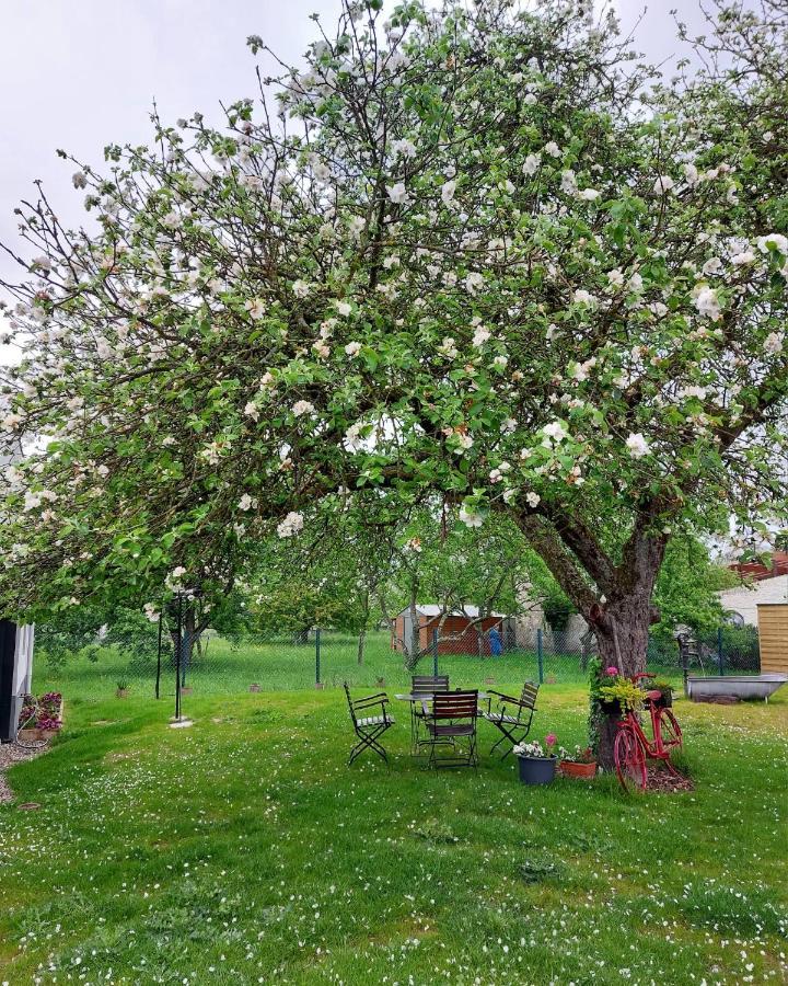 Gite Au Pommier Fleuri Et Son "Appart" Independant Drusenheim المظهر الخارجي الصورة