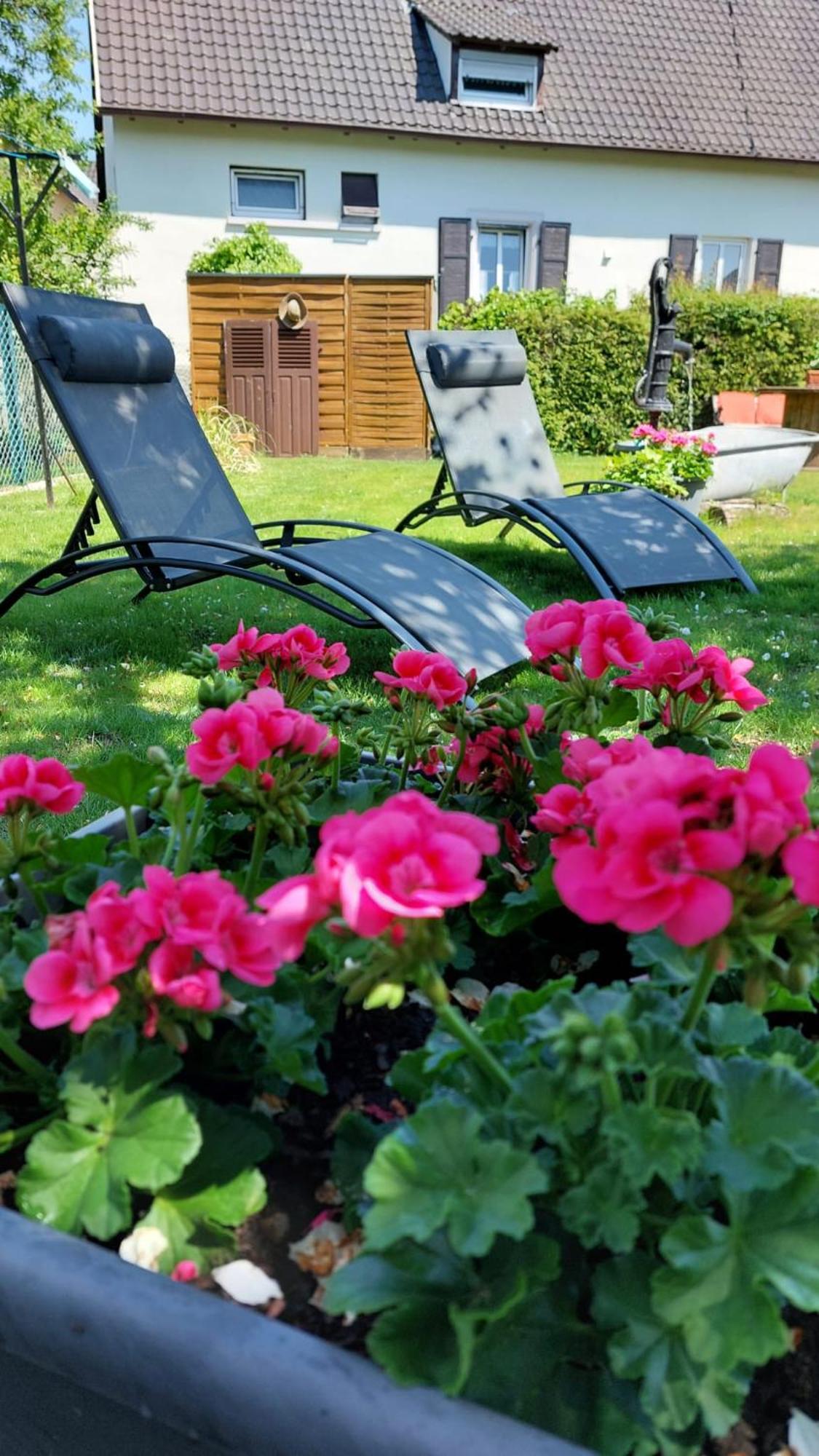Gite Au Pommier Fleuri Et Son "Appart" Independant Drusenheim المظهر الخارجي الصورة