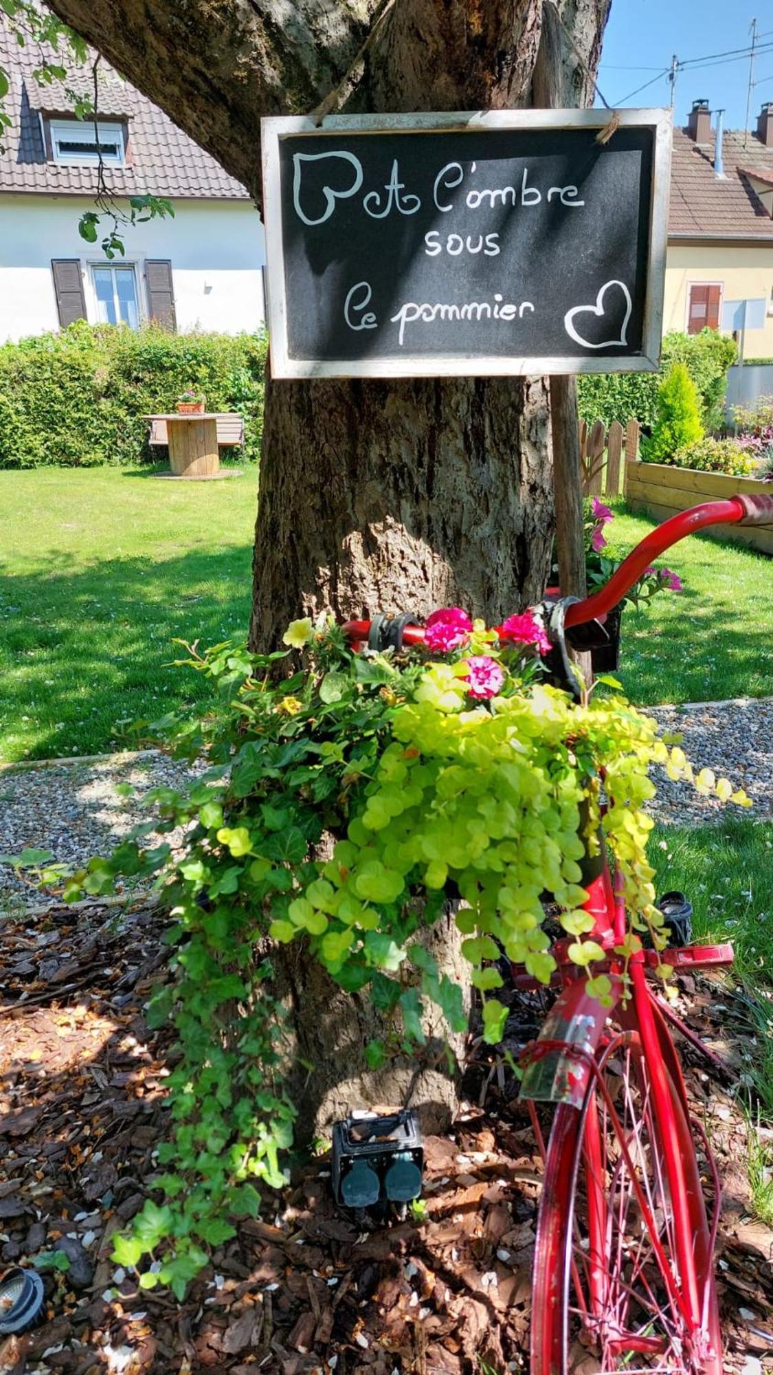 Gite Au Pommier Fleuri Et Son "Appart" Independant Drusenheim المظهر الخارجي الصورة